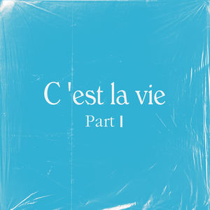 亚洲精品国产精品99久久
