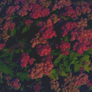 亚洲精品国产精品99久久
